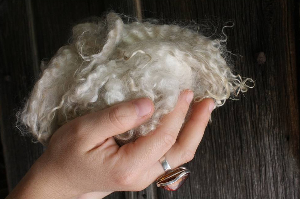 chevre mohair atelier fibre laine